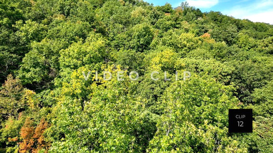 Stock video CLIP 12 - Canadice Lake, NY slow flight over trees in hillside beside Finger Lake