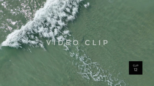 stock video shark in beach surf