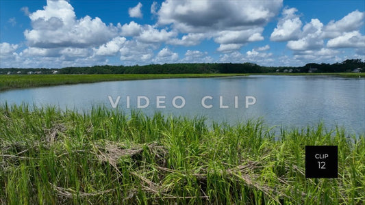 CLIP 12 - Murrells Inlet, SC Vol. 1