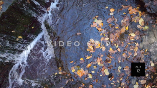 CLIP 12 - Waterfall Serenity