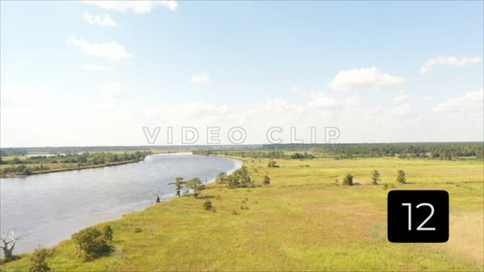 CLIP 12 - South Carolina Ricefields Vol 3. - White House Plantation