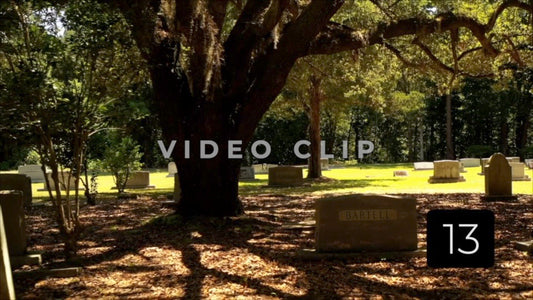 CLIP 13 - Indiantown Presbyterian Church graves shaded by oak trees in cemetery