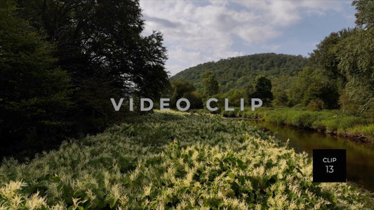 CLIP 13 - Peaceful River