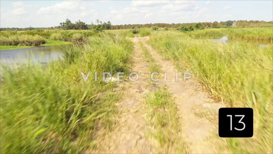CLIP 13 - South Carolina Ricefields Vol 3. - White House Plantation
