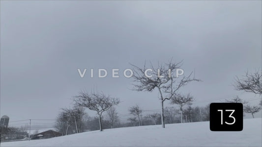 CLIP 13 - Winter Vol. 1 - Snow clouds above tree orchard on snowy hillside