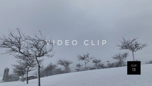 CLIP 13 - Snow clouds above tree orchard on snowy hillside by farm