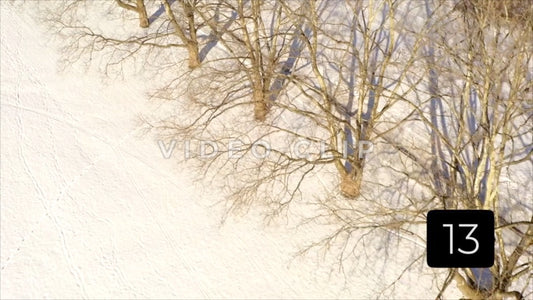 CLIP 13 - Rochester, NY Vol. 7 - Looking down on tree orchard by snow covered field in Winter at Ellison Park, NY