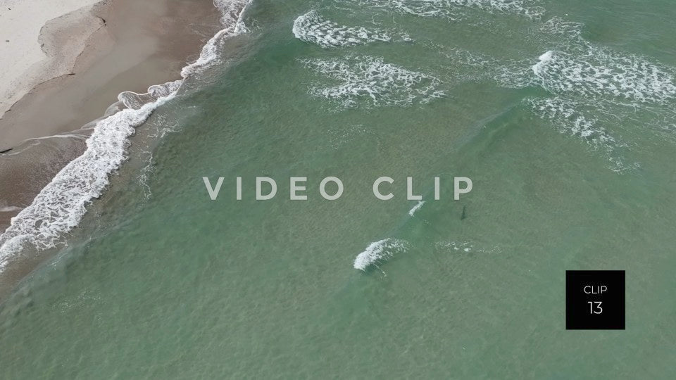 stock video shark in beach surf