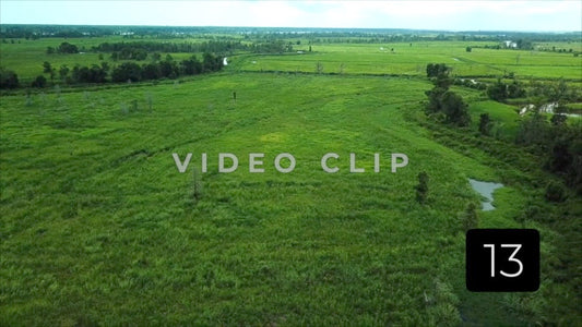 CLIP 13 - South Carolina Ricefields Vol 5. - Samsworth Plantation