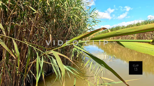 CLIP 13 - Hudson River, NY drifting on Piermont Marsh close to marsh grass