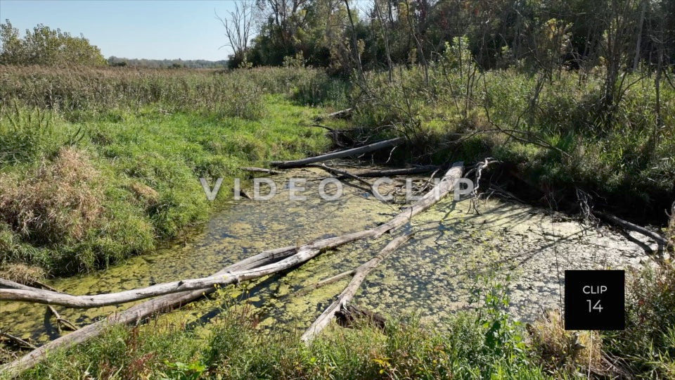 CLIP 14 - Erie Canal Vol. 8 - Montezuma