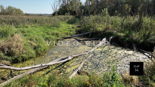 CLIP 14 - Erie Canal Vol. 8 - Montezuma