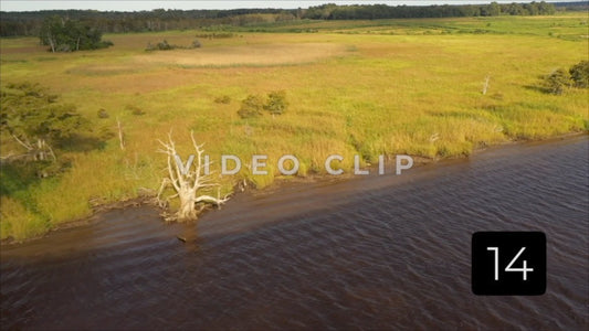 CLIP 14 - South Carolina Ricefields Vol 3. - White House Plantation
