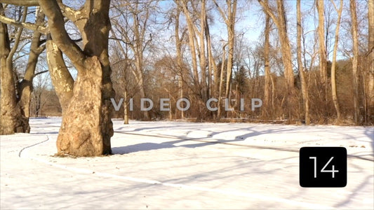 CLIP 14 - Rochester, NY Vol. 7 - Car drives past tree orchard in snow at Winter Ellison Park, NY