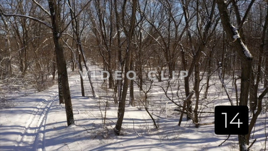 CLIP 14 - Winter Vol. 5 - Forest with trees in Winter with hiking trial