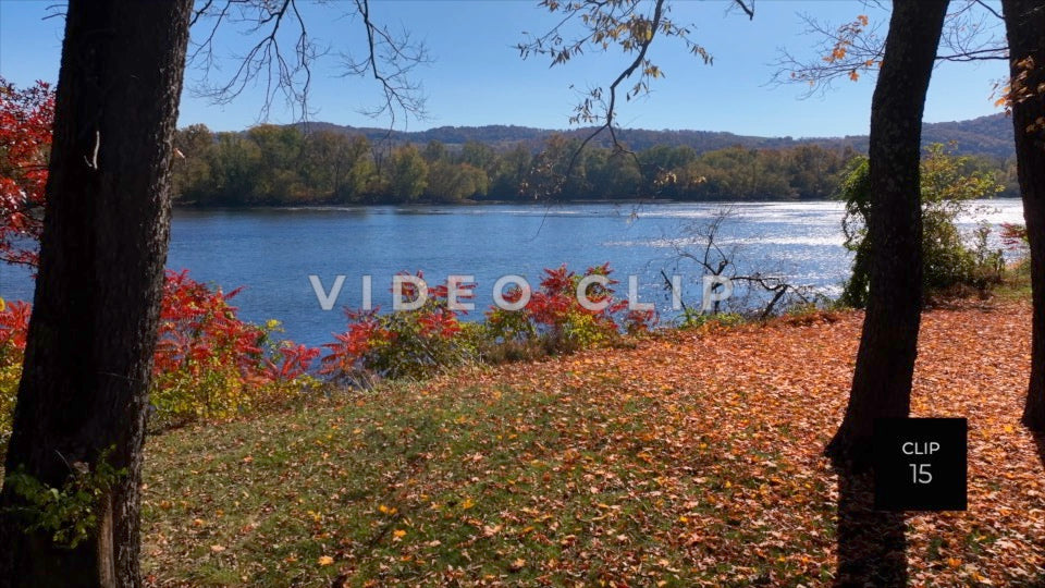 CLIP 15 - Peaceful River