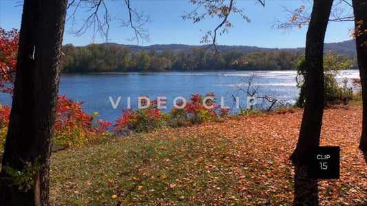 CLIP 15 - Peaceful River