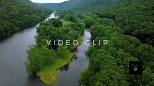 Stock video Allegheny National Forest