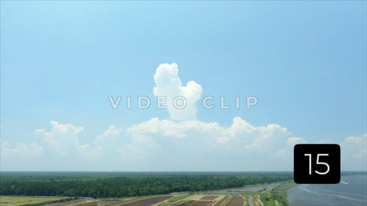 CLIP 15 - South Carolina Ricefields Vol 4. - Estherville Plantation