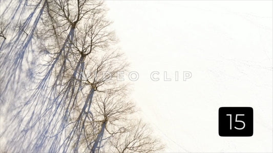 CLIP 15 - Rochester, NY Vol. 7 - Snow covered field beside tree orchard in Winter at Ellison Park, NY