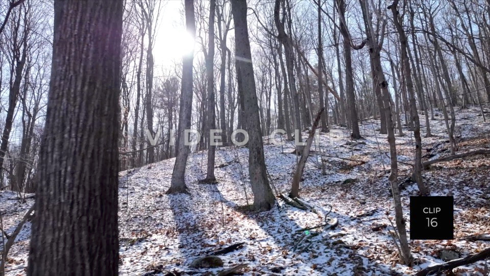 CLIP 16 - Erie Canal Vol. 4