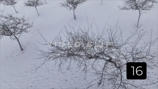 CLIP 16 - Winter Vol. 1 - Looking down at snowy hillside then rising up to reveal landscape