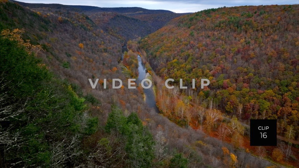 CLIP 16 - Pennsylvania Grand Canyon trees in foreground then Canyon