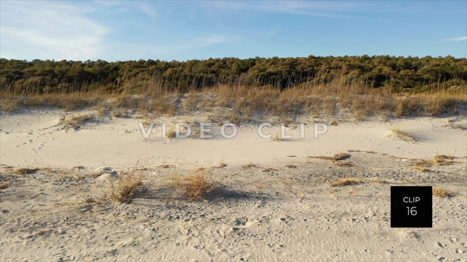 CLIP 16 - Beautiful Beach