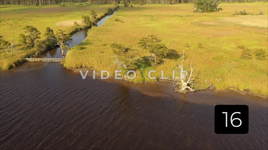 CLIP 16 - South Carolina Ricefields Vol 3. - White House Plantation