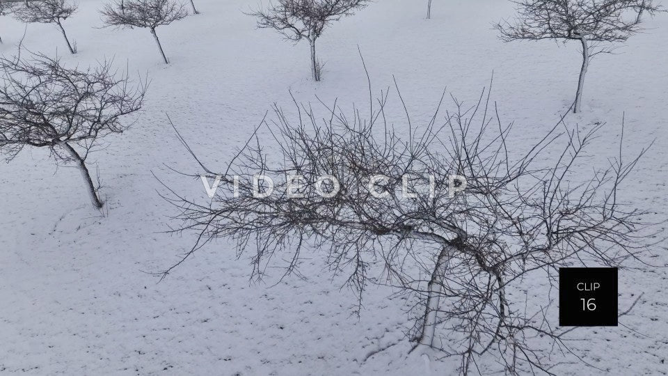 CLIP 16 - Looking down at snowy hillside then rising up to reveal landscape