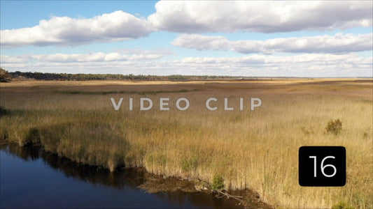 CLIP 16 - South Carolina Ricefields Vol 2. - Pee Dee Waccamaw Confluence