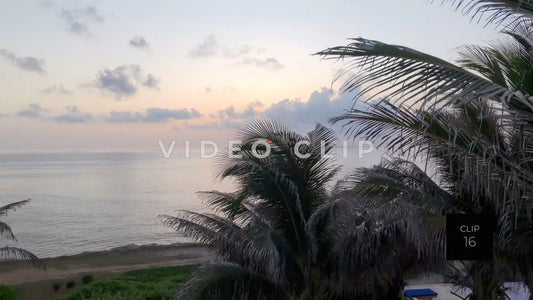CLIP 16 - Isla Mujeras, Mexico rising up past palm trees to view sunrise