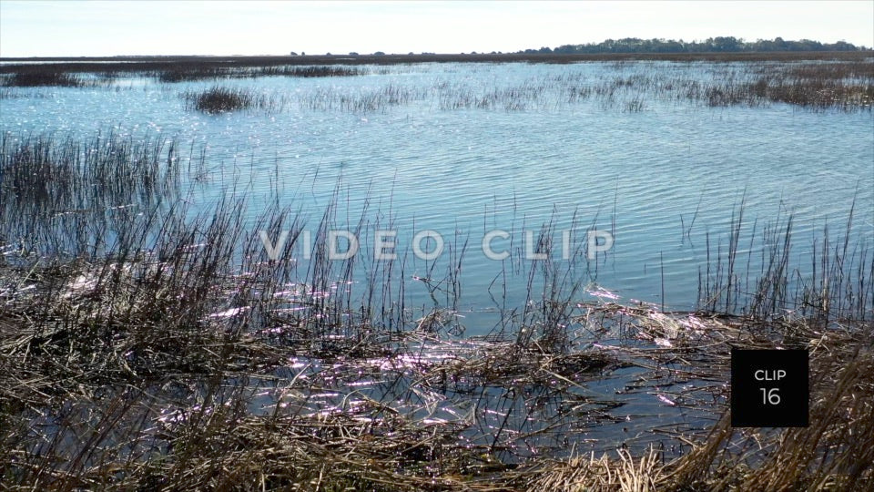 CLIP 16 - Murrells Inlet, SC Vol. 2