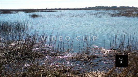 CLIP 16 - Murrells Inlet, SC Vol. 2