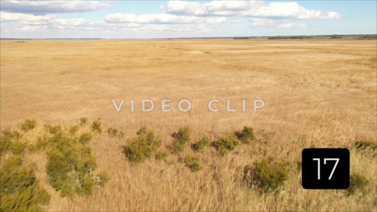 CLIP 17 - South Carolina Ricefields Vol 2. - Pee Dee Waccamaw Confluence