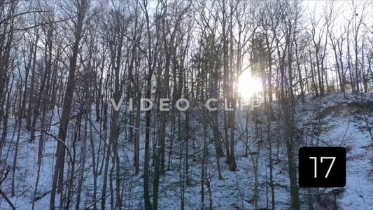 CLIP 17 - Rochester, NY Vol. 7 - Sun shines through trees in Winter at Ellison Park, NY