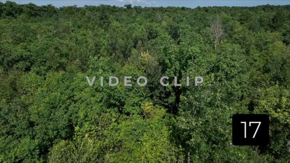 CLIP 17 - New Orleans, LA Vol. 3 - tree top flying over bayou wetland wilderness