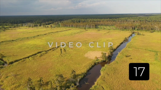 CLIP 17 - South Carolina Ricefields Vol 3. - White House Plantation