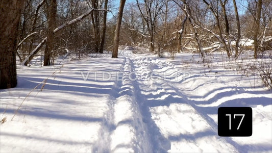 CLIP 17 - Winter Vol. 5 - Snow mobile and walking trail cuts through forest