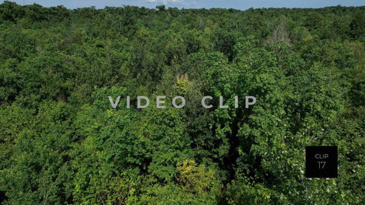 CLIP 17 - New Orleans, LA tree top flying over bayou wetland wilderness