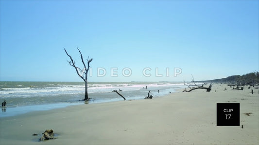 CLIP 17 - Beautiful Beach