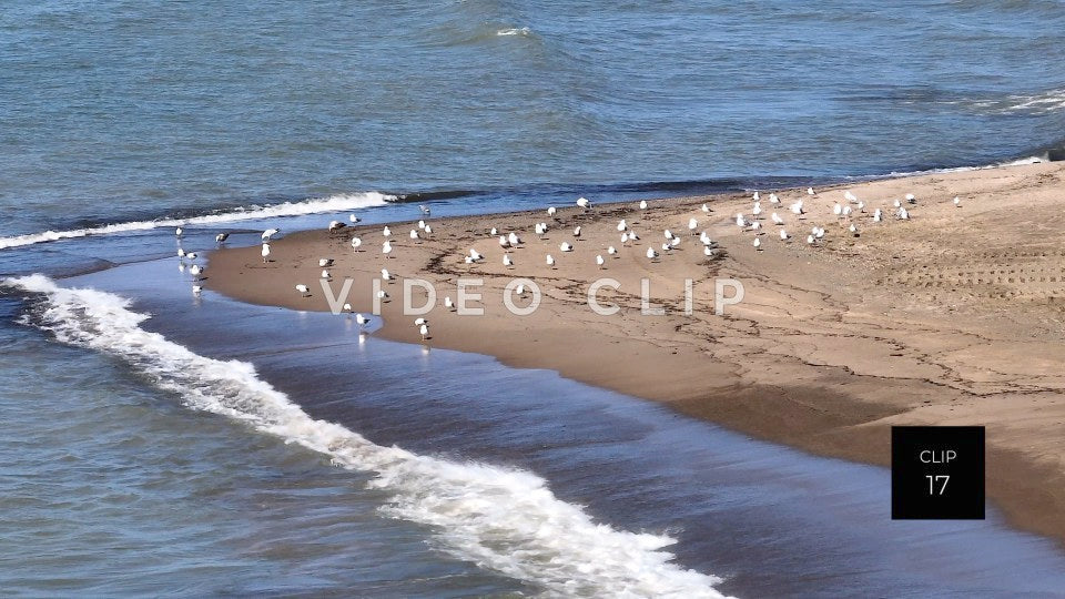 Stock Video Presque Isle State Park Erie PA