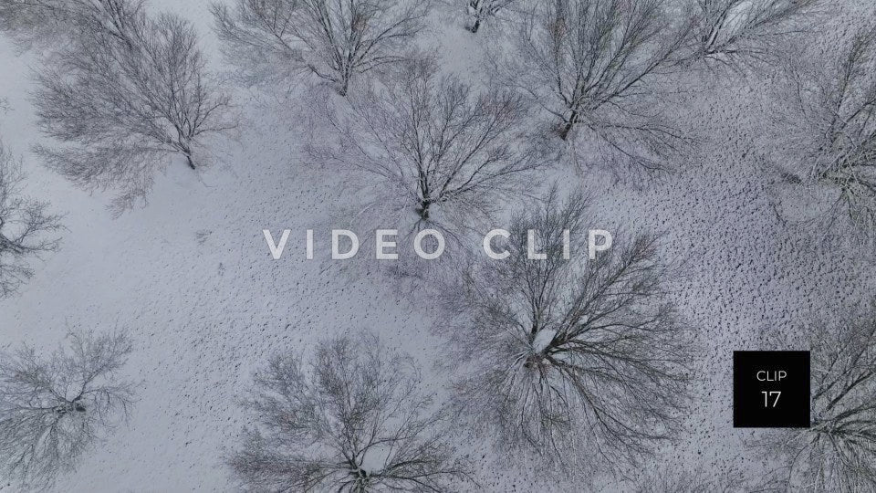 CLIP 17 - Slowly turning down to see tops of frozen trees in Winter with snow