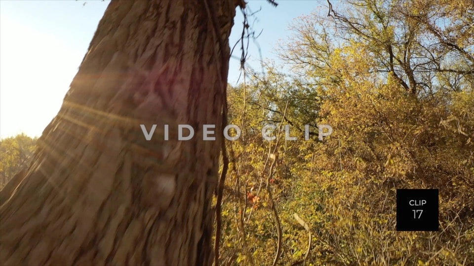 CLIP 17 - Erie Canal Vol. 5