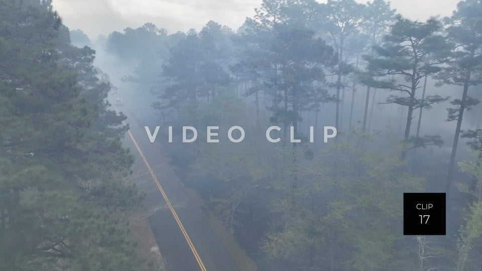 Stock video Controlled burning of forest landscape