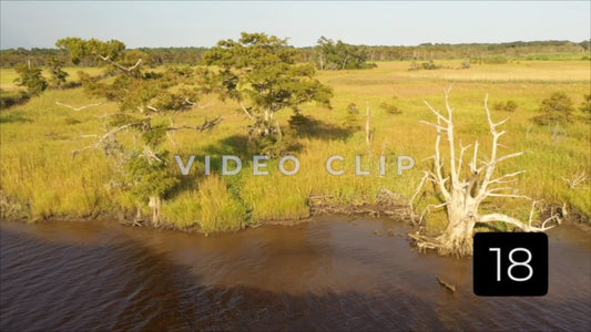 CLIP 18 - South Carolina Ricefields Vol 3. - White House Plantation