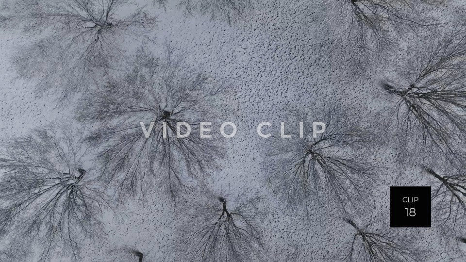 CLIP 18 - Slowly drifting over frozen trees while snow falls in Winter