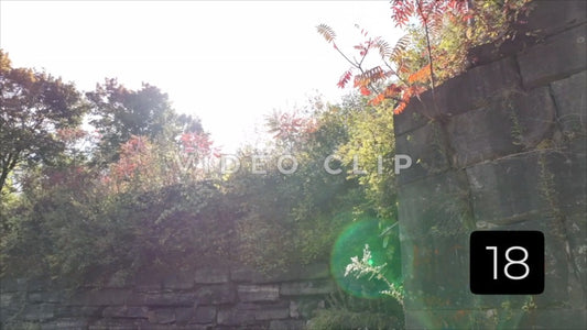 CLIP 18 - Erie Canal Vol. 6