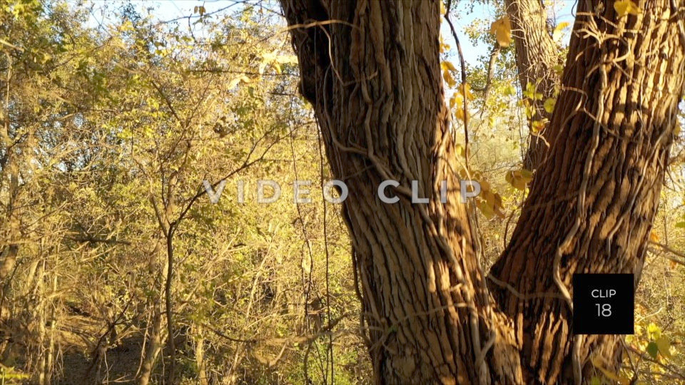 CLIP 18 - Erie Canal Vol. 5