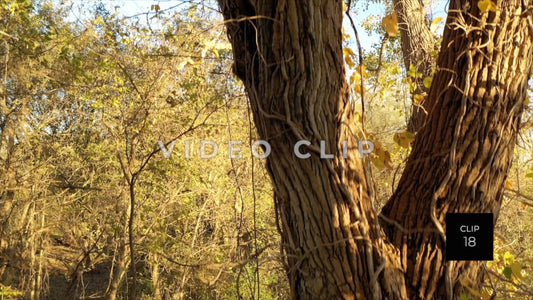 CLIP 18 - Erie Canal Vol. 5